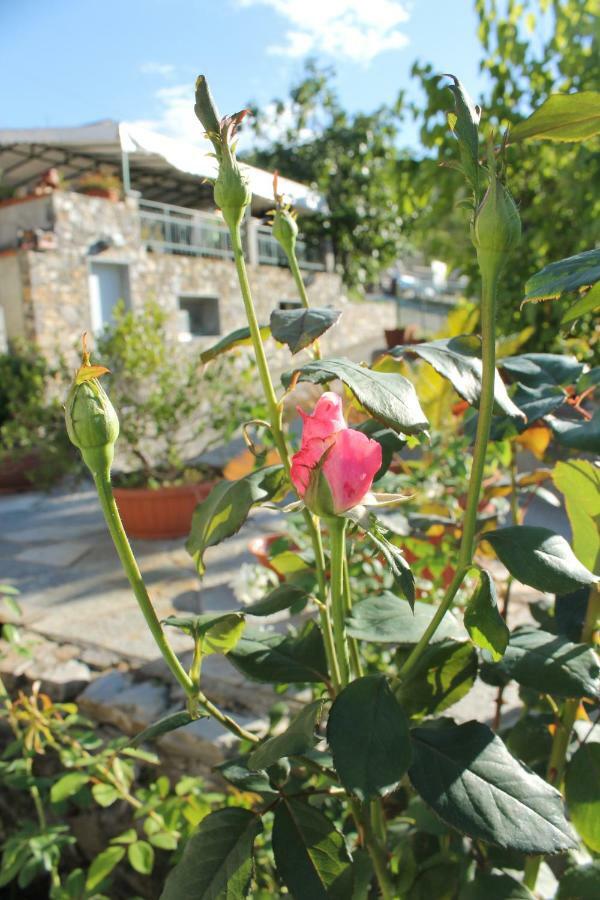 B&B Ca Dei Fre Genova Kültér fotó